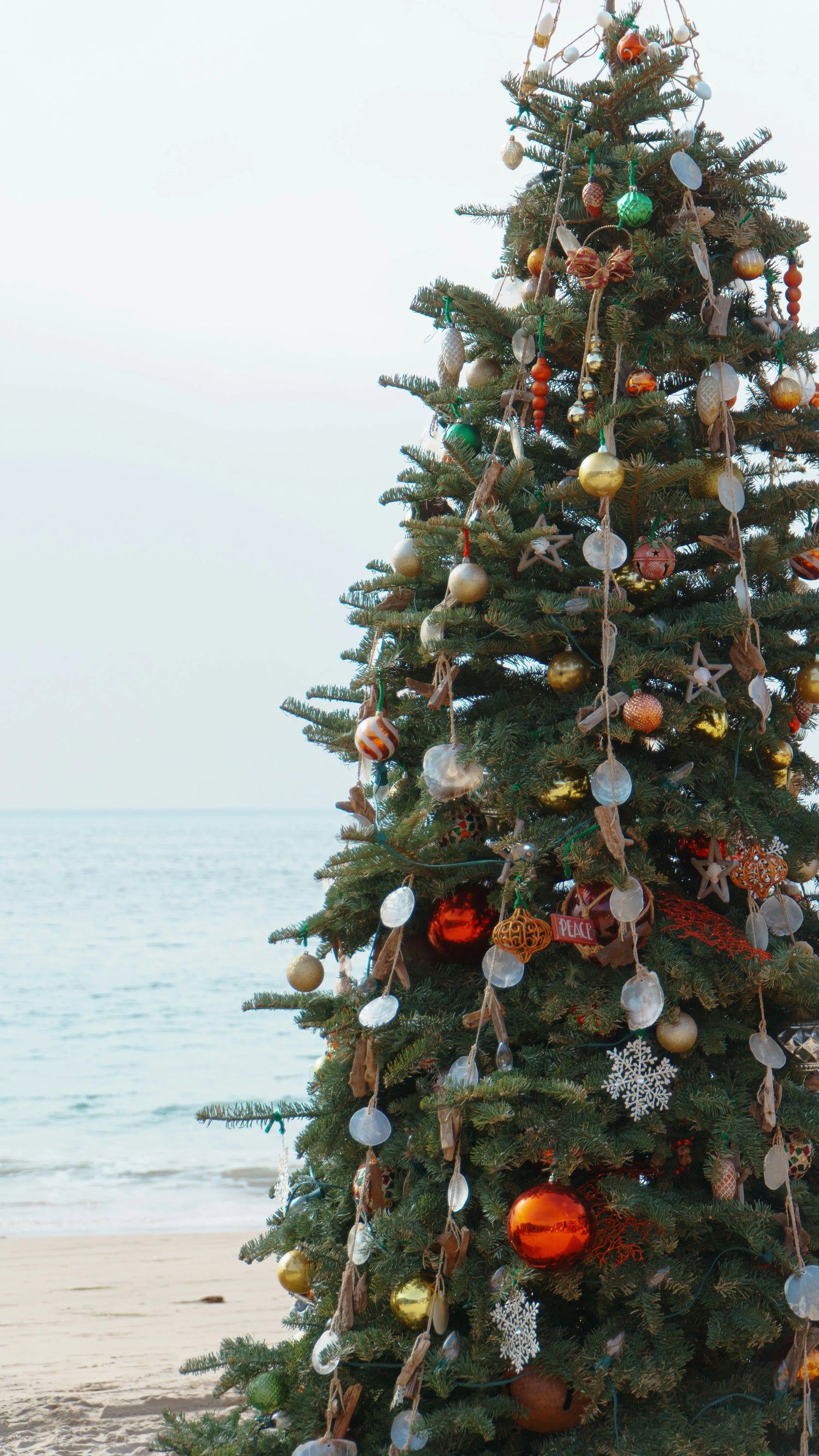 The Ultimate Christmas Gift Guide for Travel Lovers (2025 Edition) - Nomadique Co